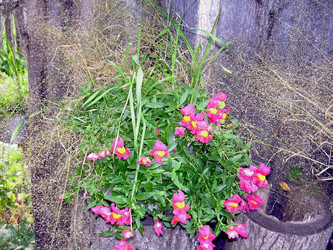 Similar image 21809494