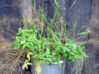 Similar image 21809495