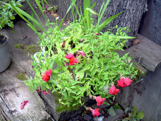 Similar image 21809496