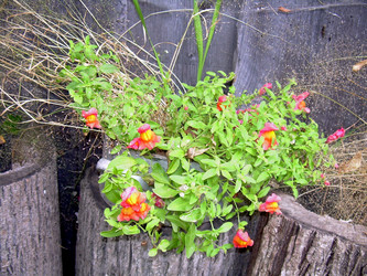 Similar image 21809497