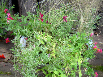 Similar image 21809498