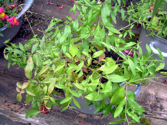 Similar image 21809499