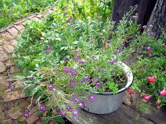 Similar image 21809500