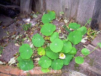 Similar image 21809501