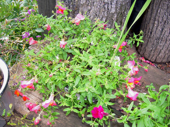 Similar image 21809502