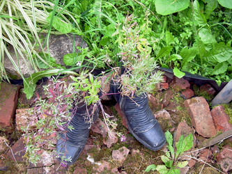 Similar image 21809503