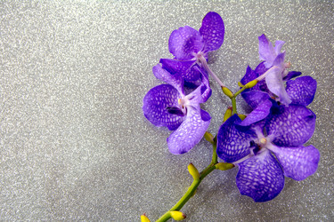 Similar image 21809512