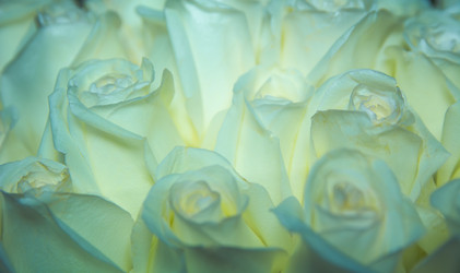 Similar image 21809514