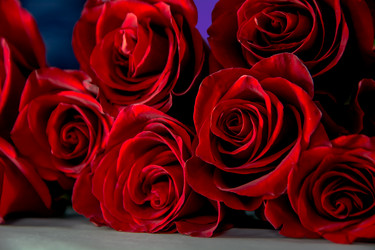 Similar image 21809517