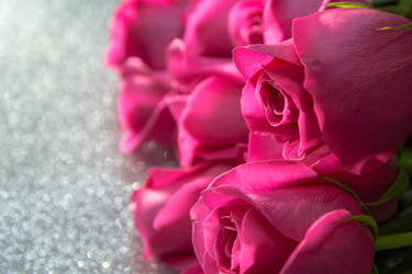 Similar image 21809518