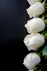 Similar image 21809524