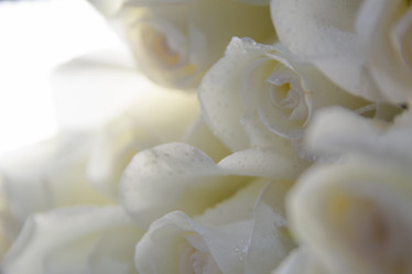 Similar image 21809526