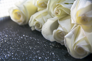 Similar image 21809529