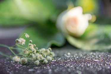 Similar image 21809534