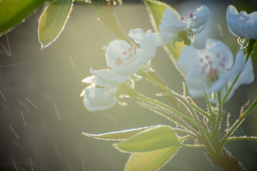 Similar image 21809535