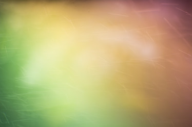 Similar image 21809536