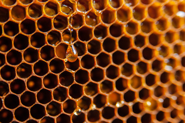 Similar image 21809542