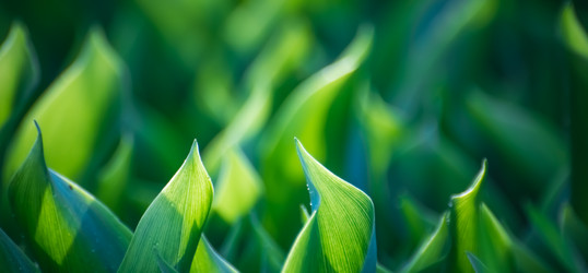 Similar image 21809544