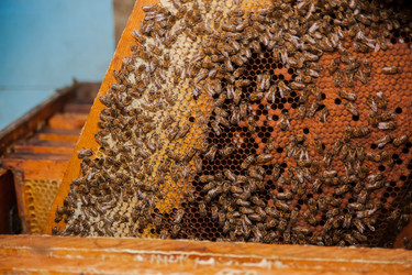 Similar image 21809546