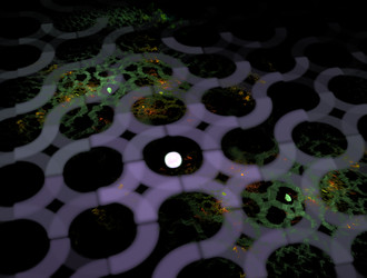 Similar image 21811321