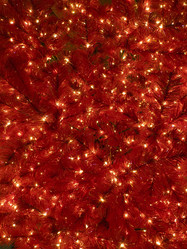 Similar image 21809079