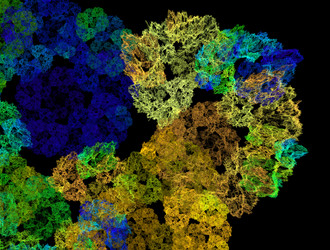 Similar image 21811332