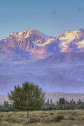 Similar image 21809567