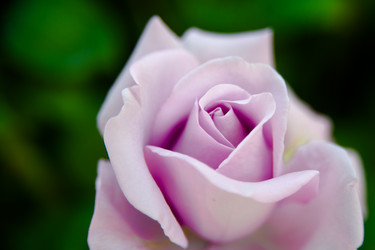 Similar image 21809571