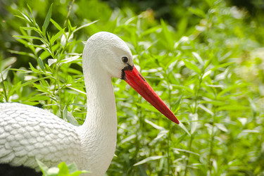 Similar image 21809576