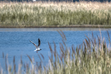 Similar image 21809583