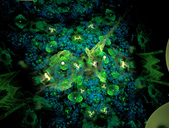 Similar image 21812990