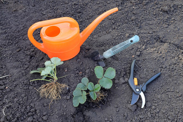 Similar image 21809096