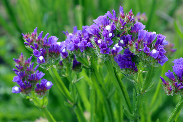 Similar image 21809098