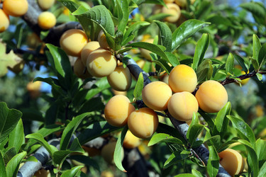 Similar image 21809099