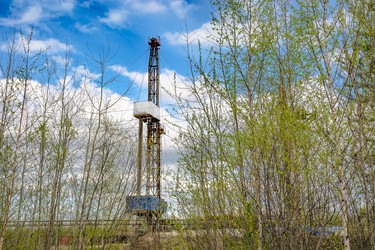 Similar image 21812458