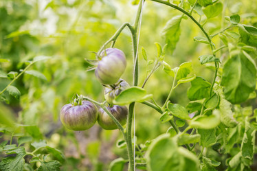 Similar image 21810471