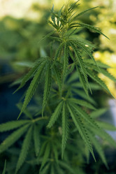 Similar image 21810476