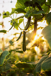 Similar image 21810480