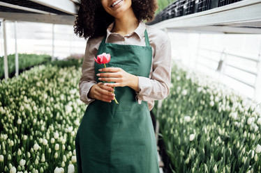 Similar image 21810485