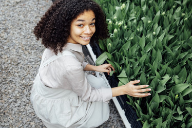 Similar image 21810737