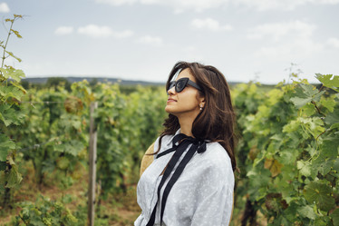 Similar image 21810753