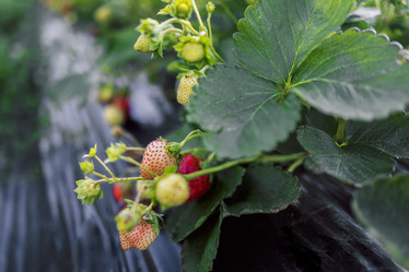 Similar image 21810505