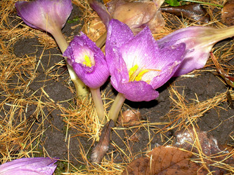 Similar image 21809616