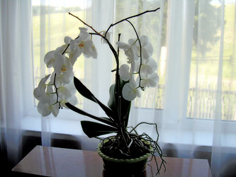 Similar image 21809617