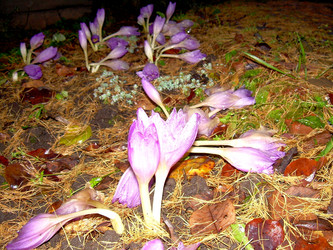 Similar image 21809618