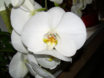 Similar image 21809619