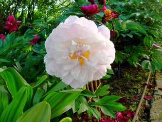 Similar image 21809620