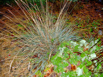 Similar image 21809621