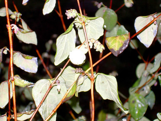 Similar image 21809623