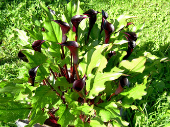 Similar image 21809624